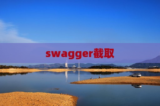 swagger截取